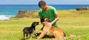 Trabajos con Animales